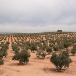 Andaluzja - Granada