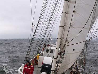 Sail Świnoujście 2010 – Sierpień pod żaglami