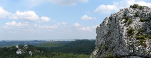 Jura Krakowsko-Częstochowska 1