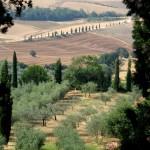 Pienza 3