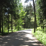 Przez las do leśniczówki Gałczyńskiego