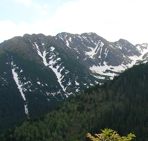 Widok na Tatry