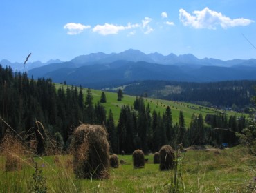 Tatry widok z Tarsówek (fot. Shalom Alechem - Wikipedia)