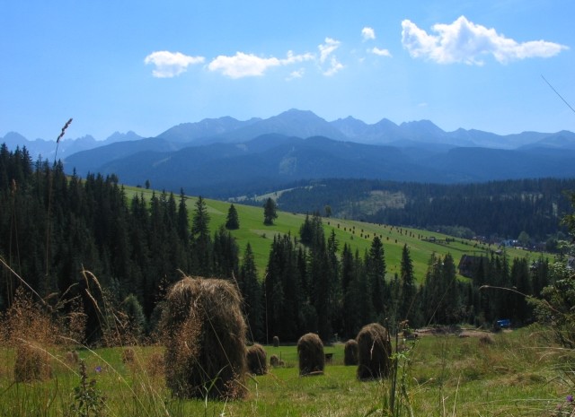 Tatry widok z Tarsówek (fot. Shalom Alechem - Wikipedia)