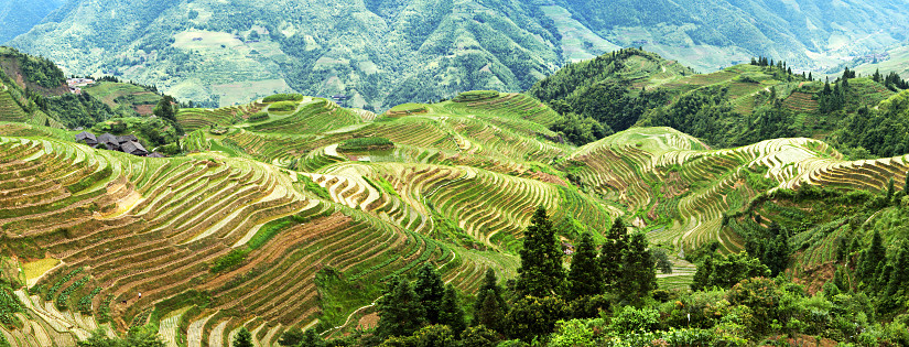 Tarasy Ryżowe Long Sheng (fot. Dishio - Wikipedia)