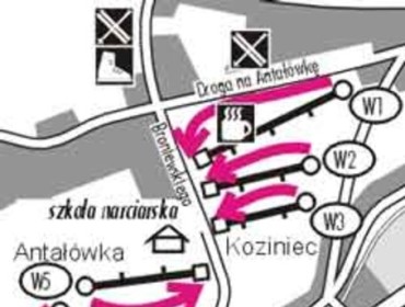 Koziniec Antałówka