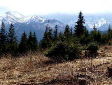 Tatry