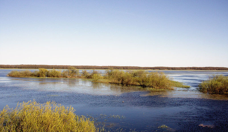 Biebrzański Park Narodowy - rozlewiska Biebrzy