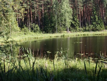 Jezioro Żabinek fragment Wdecki