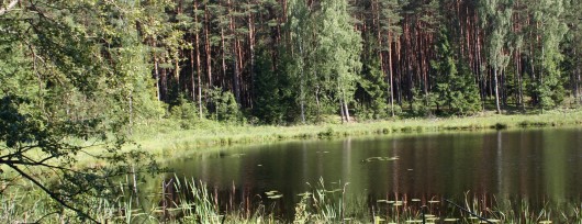 Jezioro Żabinek fragment Wdecki