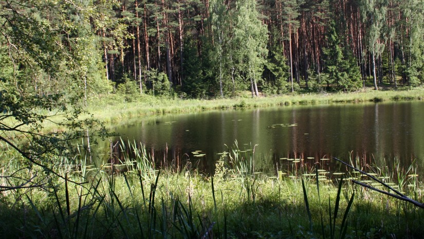 Jezioro Żabinek fragment Wdecki