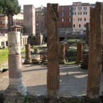 Rzym (Rome) - Largo di Torre Argentina