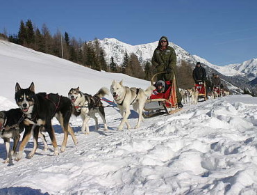 Husky Village w Arnodze pod Livigno