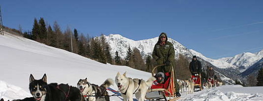 Husky Village w Arnodze pod Livigno