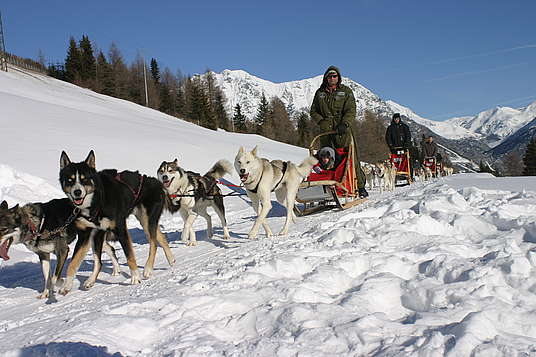 Husky Village w Arnodze pod Livigno