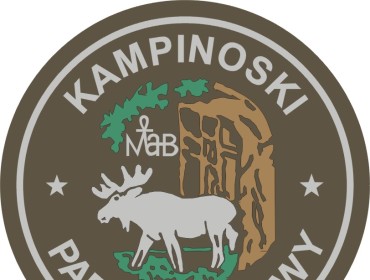 Logo KPN