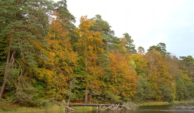 Pełne tajemnic i legend Jezioro Gardno w Wolińskim Parku Narodowym