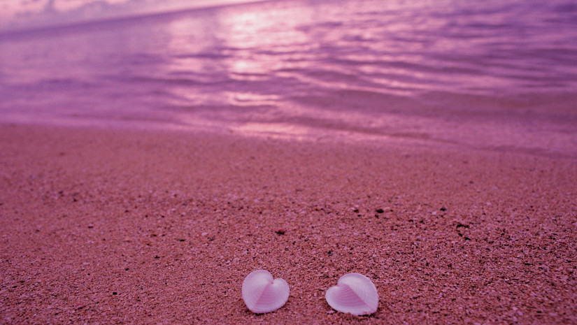 Różowy kolor nadają plaży na Bahamach maleńkie muszelki otwornic. Źródło: www.worldfortravel.com