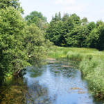 Jeden z bardziej dzikich odcinków Czarnej Hańczy