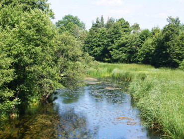 Jeden z bardziej dzikich odcinków Czarnej Hańczy