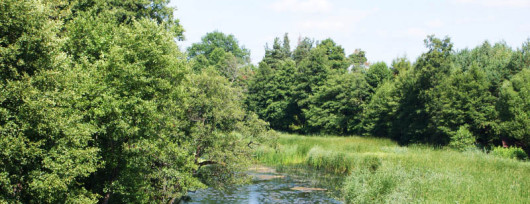 Jeden z bardziej dzikich odcinków Czarnej Hańczy