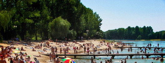 Zalew na Osiedlu Borki w Radomiu otoczony jest plażą i drzewami