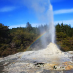 Gejzer Lady Knox w rezerwacie Wai-O-Tapu