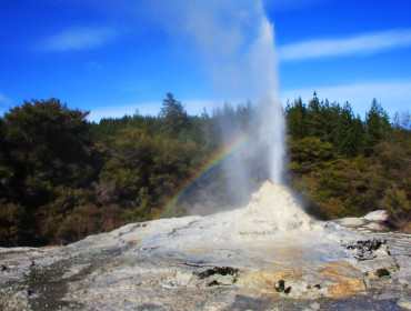 Gejzer Lady Knox w rezerwacie Wai-O-Tapu