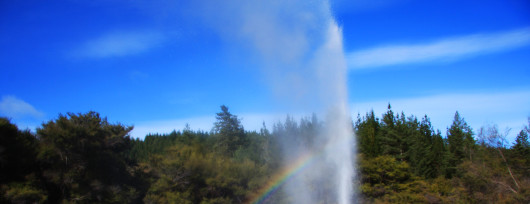 Gejzer Lady Knox w rezerwacie Wai-O-Tapu