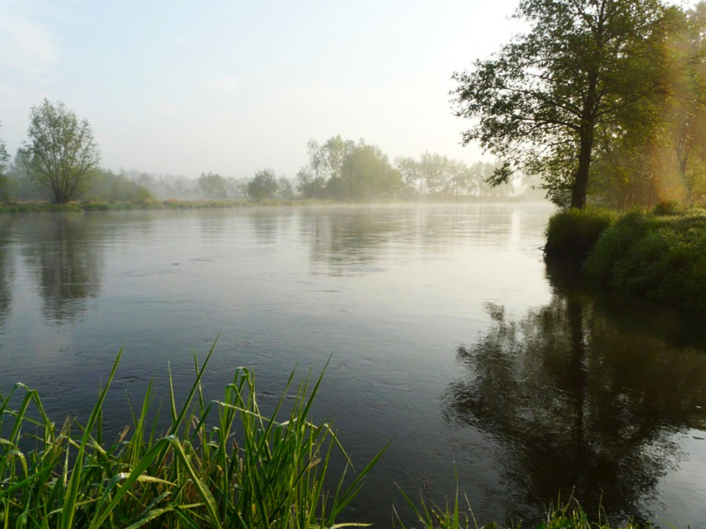 Piękna aura nad Pilicą w okolicy Białobrzegów (źródło: www.bialobrzegipowiat.pl)