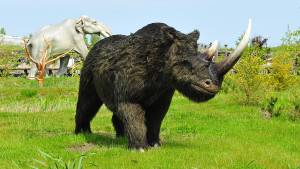 Nosorożec z epoki lodowcowej w Łeba Parku (źródło: www.lebapark.pl)