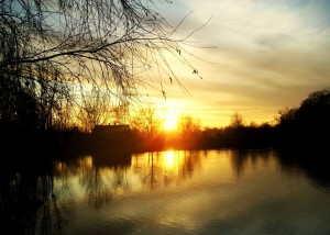 Park nad Jasieniem - widok na staw o zachodzie słońca (autor stevenlodz)