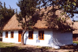 Chłopska chata przeniesiona z Mszadli, obecnie w Lipcach Reymontowskich