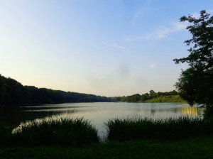 Jezioro Klasztorne Małe w Kartuzach