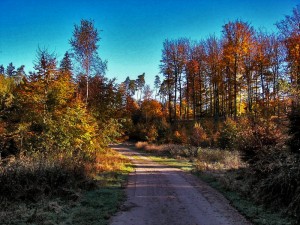 Szlak do Bursztynowej Góry