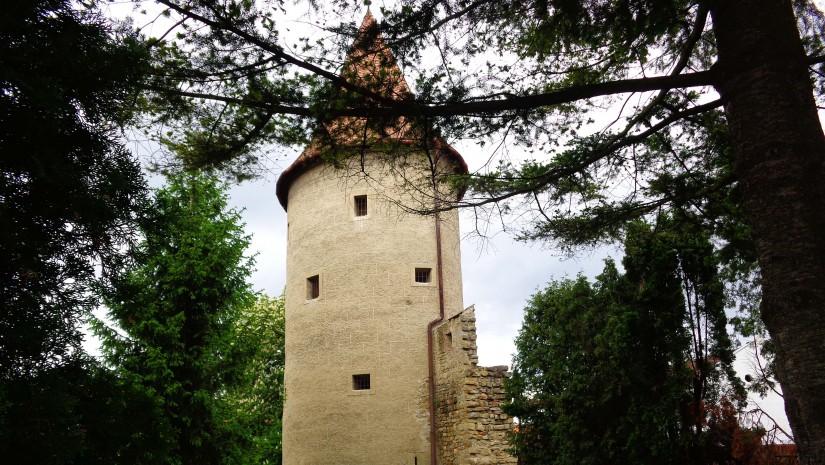 Baszta Szkolna jest jedną z 11 warownych wieży w Bardejowie. Pozostałe baszty to Gruba, Praszna, Duża, Czerwona, Dolna, Prawo-kątowa, Renesansowa, Archiwa, Poligonalna i Klasztorna.