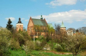 Widok na starówkę w Bieczu od strony skarpy (fot. M.Kozień)