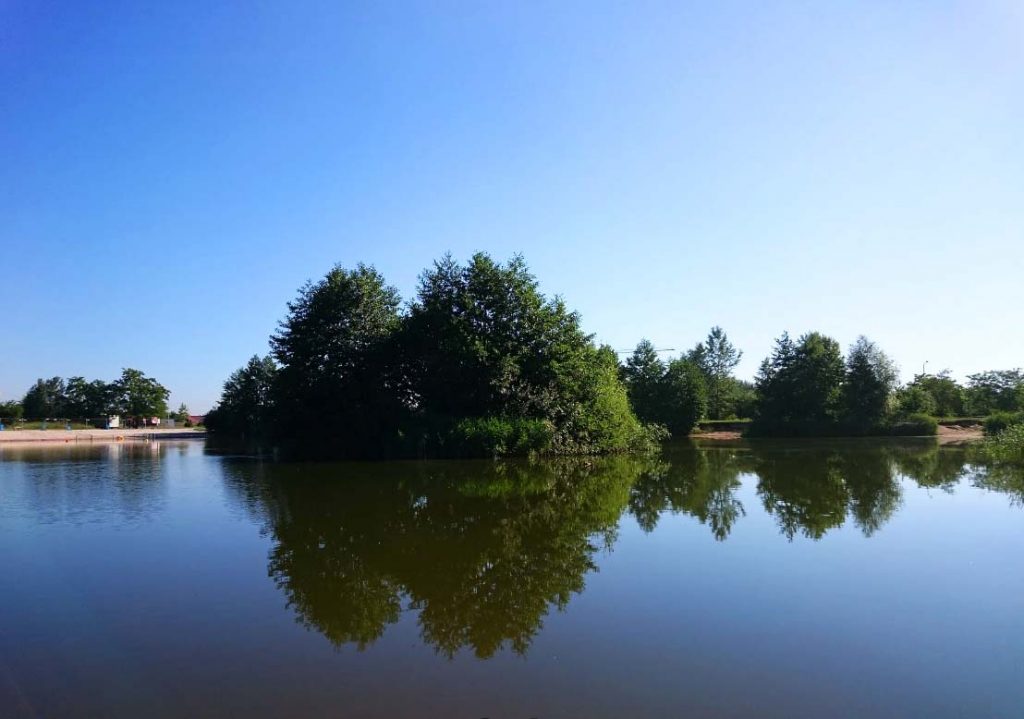 Staw przy Królewieckiej we Wrocławiu - po lewej widać piaszczystą plażę