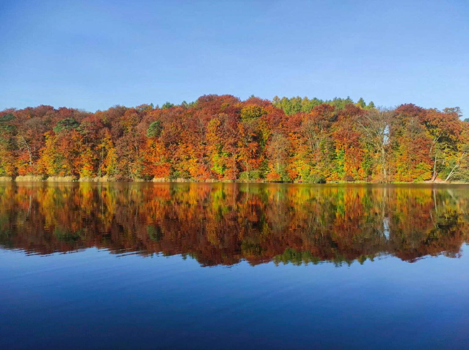Lake Park Łagów miejsce na jesienny wypoczynek z rodziną w
